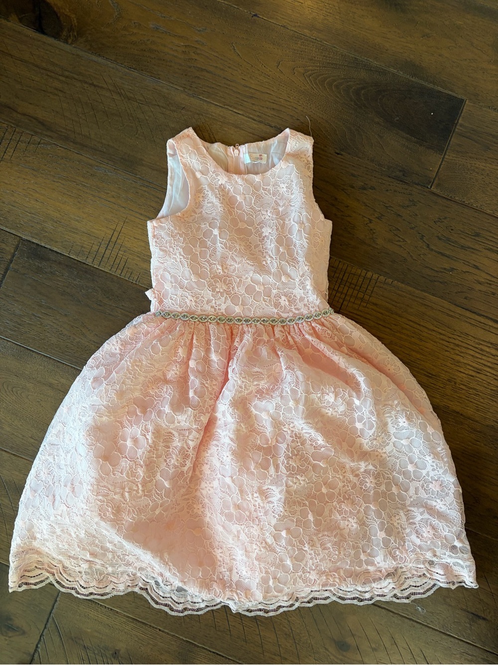 Biscotti Girls Blush Pink Floral Lace Dress Size 10 Flower Girl Easter Formal